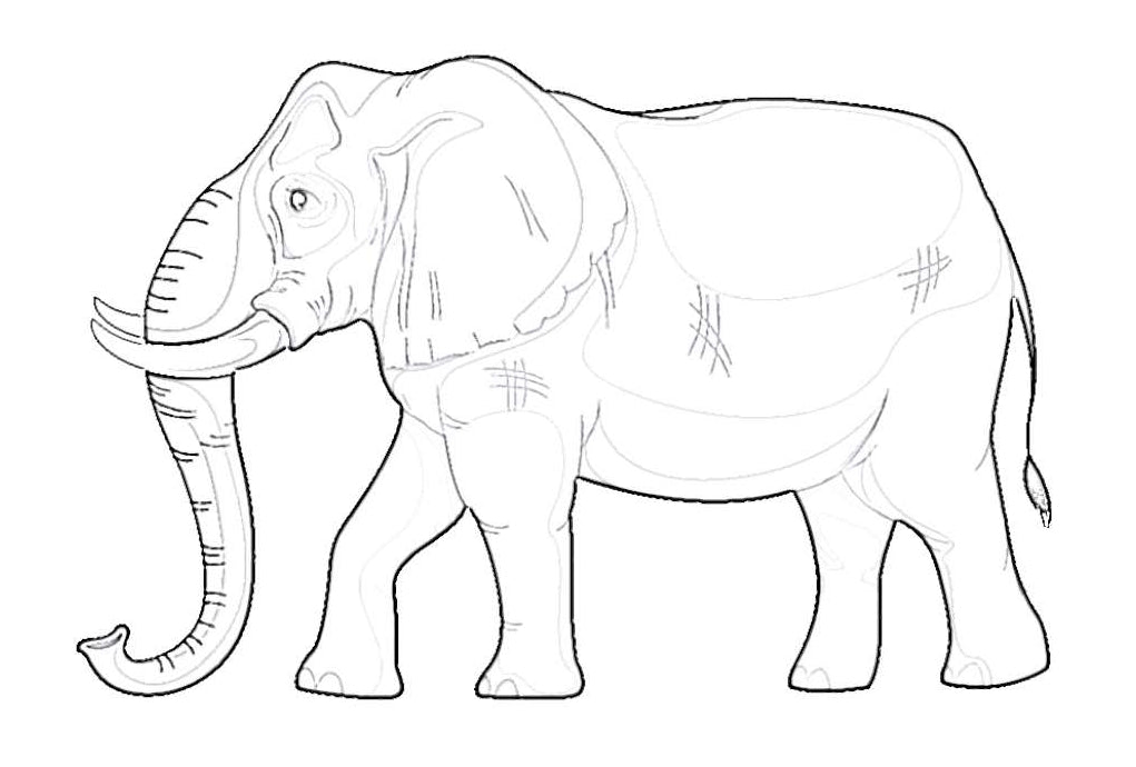 Elefant, schwarz-weiß, Seitenansicht, Zeichnung
