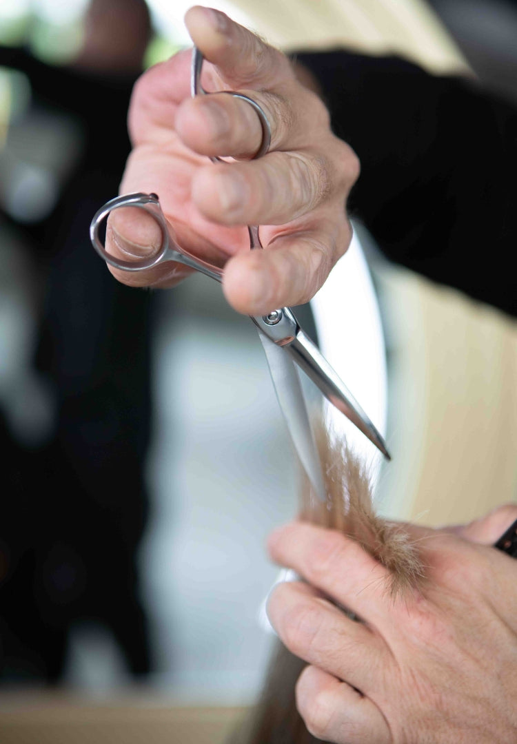 Friseurschere schneidet Haarsträhne professionell